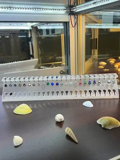 Body Piercing Jewelry Display at New Wave Body Art Studio